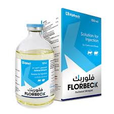 فلوربك