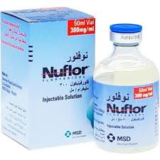 نوفلور