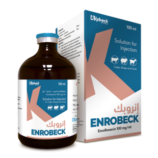 انروبك