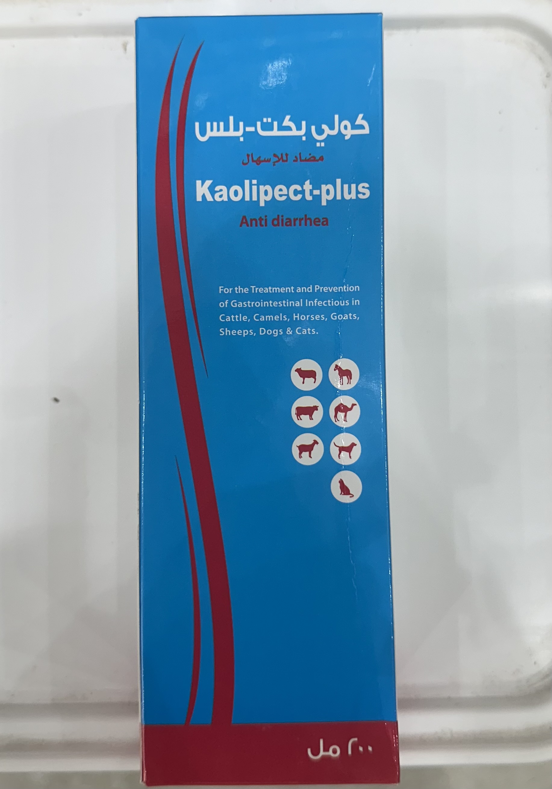 كولي بكت بلس