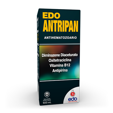 EDO ANTIRIPAN